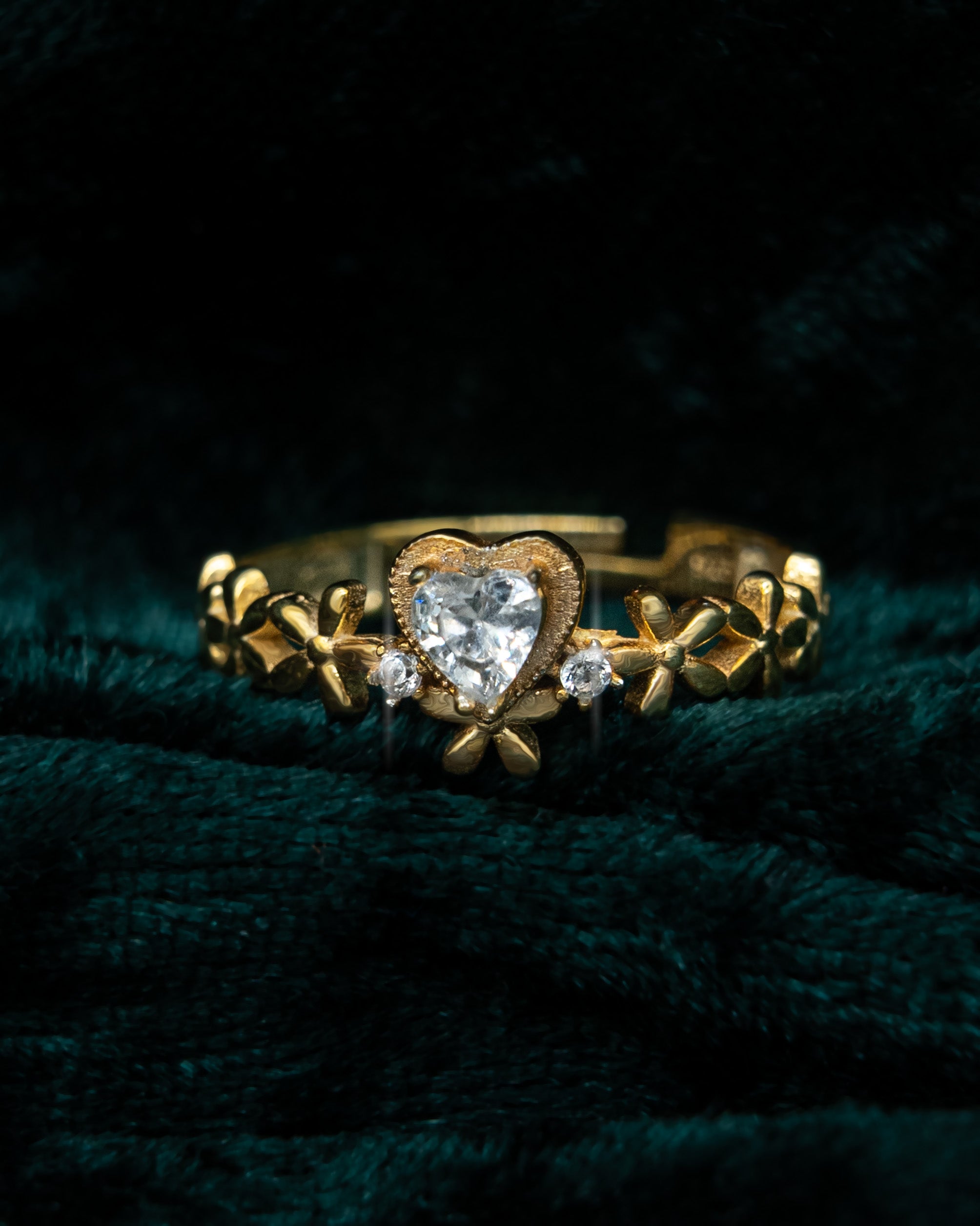 DREAM HERZRING